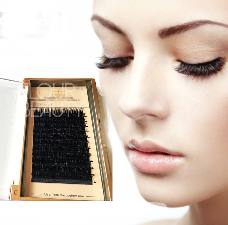 Korean volume eyelash extension China factory supply EJ69